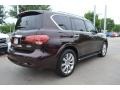 Dark Currant - QX 56 4WD Photo No. 5