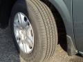 2005 Magnesium Green Pearl Dodge Caravan SE  photo #2