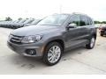 Pepper Gray Metallic - Tiguan SE Photo No. 1