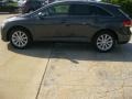 Magnetic Gray Metallic - Venza I4 Photo No. 8