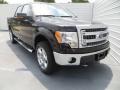 2013 Kodiak Brown Metallic Ford F150 XLT SuperCrew 4x4  photo #2