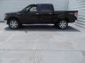 2013 Kodiak Brown Metallic Ford F150 XLT SuperCrew 4x4  photo #12