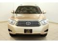 Sandy Beach Metallic - Highlander  Photo No. 2