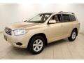 Sandy Beach Metallic - Highlander  Photo No. 3