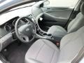 Iridescent Silver Blue Pearl - Sonata GLS Photo No. 15