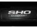 3.5 Liter GTDI EcoBoost Twin-Turbocharged DOHC 24-Valve VVT V6 Engine for 2010 Ford Taurus SHO AWD #81221550