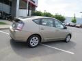 Driftwood Pearl - Prius Hybrid Photo No. 30