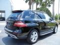 Black - ML 350 4Matic Photo No. 3