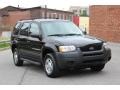 2003 Black Clearcoat Ford Escape XLS V6 4WD  photo #10