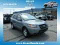 2008 Natural Khaki Green Hyundai Santa Fe GLS 4WD  photo #1