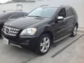 Black - ML 350 4Matic Photo No. 3