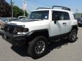 Iceberg White - FJ Cruiser 4WD Photo No. 3