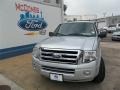 2013 Ingot Silver Ford Expedition XLT  photo #2