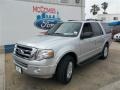 2013 Ingot Silver Ford Expedition XLT  photo #3