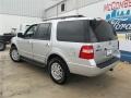 2013 Ingot Silver Ford Expedition XLT  photo #8