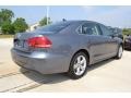 Platinum Gray Metallic - Passat 2.5L SE Photo No. 2