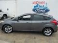 Sterling Gray - Focus SE Hatchback Photo No. 6