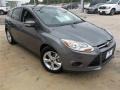 Sterling Gray - Focus SE Hatchback Photo No. 18