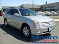 Light Platinum - SRX V6 Photo No. 17