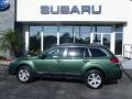 Cypress Green Pearl 2013 Subaru Outback 2.5i Premium Exterior