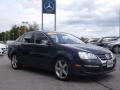 2009 Blue Graphite Metallic Volkswagen Jetta TDI Sedan  photo #3