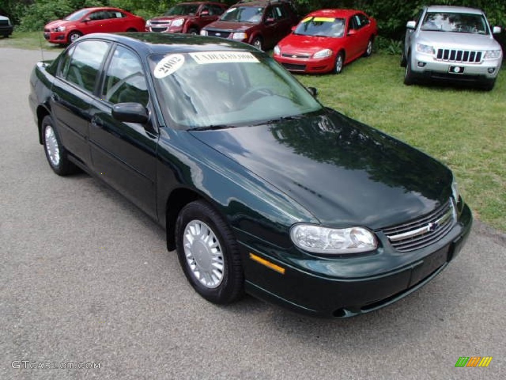 Forest Green Metallic 2002 Chevrolet Malibu Sedan Exterior Photo #81261843