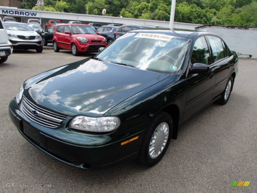 2002 Malibu Sedan - Forest Green Metallic / Gray photo #4