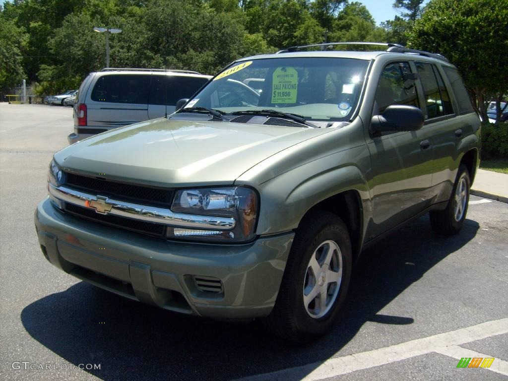 2004 TrailBlazer LS - Silver Green Metallic / Light Cashmere photo #7