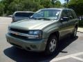 2004 Silver Green Metallic Chevrolet TrailBlazer LS  photo #7