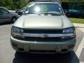 Silver Green Metallic - TrailBlazer LS Photo No. 8