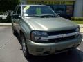 Silver Green Metallic - TrailBlazer LS Photo No. 9