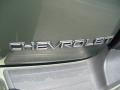 Silver Green Metallic - TrailBlazer LS Photo No. 11