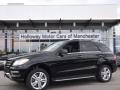 Black - ML 350 4Matic Photo No. 1