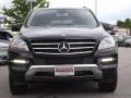 Black - ML 350 4Matic Photo No. 2