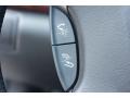 Silver Jade Metallic - RL Technology Photo No. 30