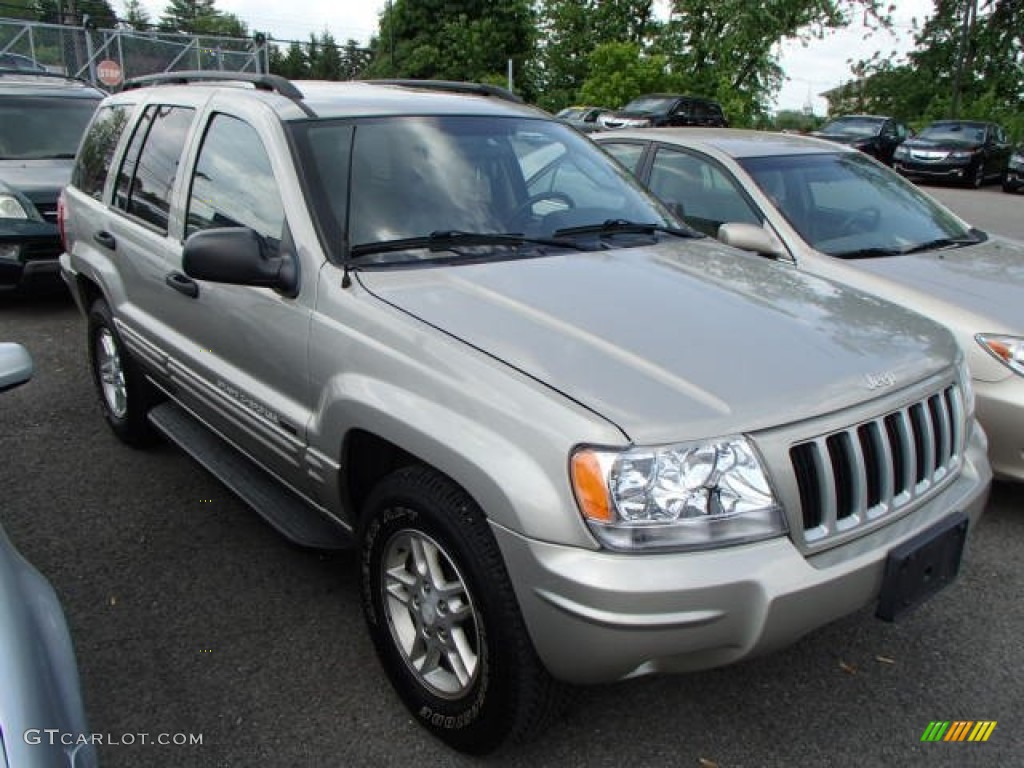 2004 Grand Cherokee Special Edition 4x4 - Bright Silver Metallic / Dark Slate Gray photo #1