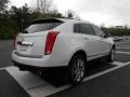 Platinum Ice Tricoat - SRX V6 Photo No. 5