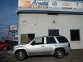 2009 Silver Ice Metallic Chevrolet TrailBlazer LT 4x4  photo #3