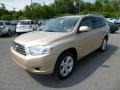 Sandy Beach Metallic - Highlander Limited 4WD Photo No. 3