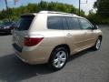Sandy Beach Metallic - Highlander Limited 4WD Photo No. 6
