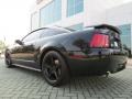 Black 2004 Ford Mustang Mach 1 Coupe Exterior