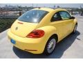 Yellow Rush - Beetle 2.5L Photo No. 7