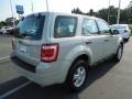 2009 Light Sage Metallic Ford Escape XLS  photo #9