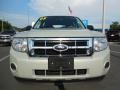 2009 Light Sage Metallic Ford Escape XLS  photo #14