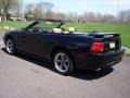 2002 Black Ford Mustang GT Convertible  photo #4