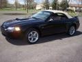 2002 Black Ford Mustang GT Convertible  photo #13