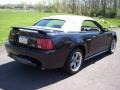 2002 Black Ford Mustang GT Convertible  photo #17