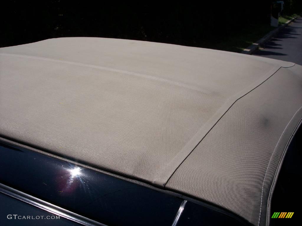 2002 Mustang GT Convertible - Black / Medium Parchment photo #24