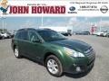 2013 Cypress Green Pearl Subaru Outback 2.5i Premium  photo #1