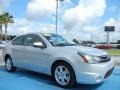 Ingot Silver Metallic 2010 Ford Focus SE Coupe Exterior
